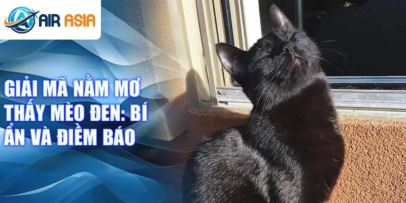 Giải mã nằm mơ thấy mèo đen: bí ẩn và điềm báo