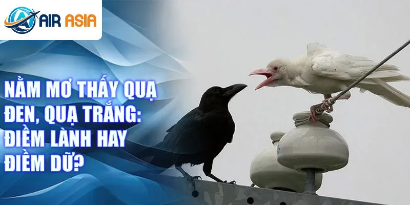 Nằm mơ thấy quạ đen, quạ trắng: điềm lành hay điềm dữ?