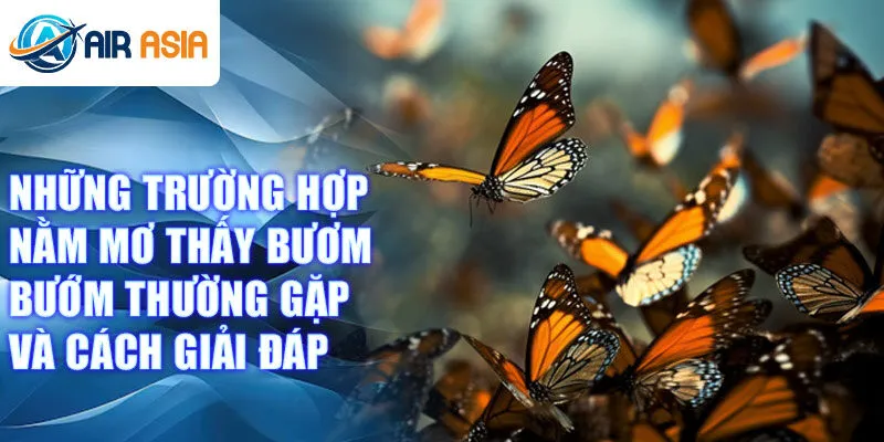 Những trường hợp nằm mơ thấy bươm bướm thường gặp và cách giải đáp