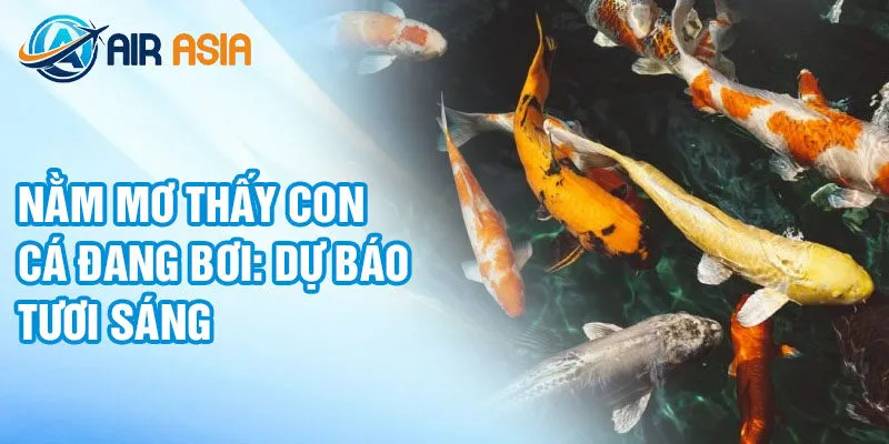 Nằm mơ thấy con cá đang bơi: dự báo tươi sáng