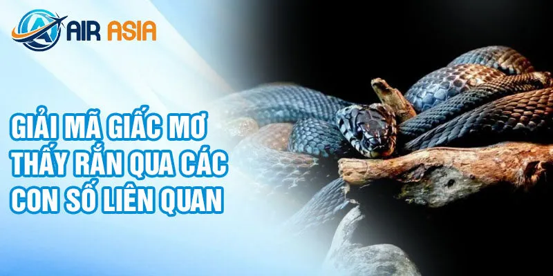 Giải mã giấc mơ thấy rắn qua các con số liên quan