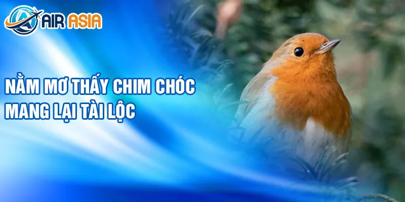 Nằm Mơ Thấy Chim Chóc: Bí Ẩn Điềm Báo Tốt Đẹp 3 Nằm mơ thấy chim chóc mang lại tài lộc