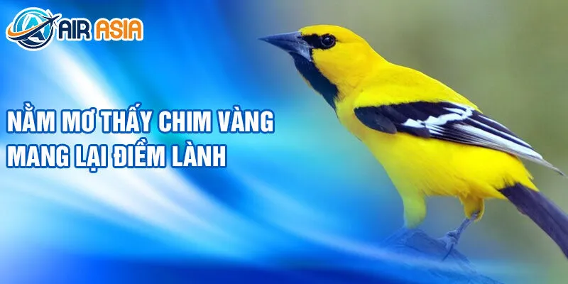 Nằm Mơ Thấy Màu Sắc: Bí Ẩn Điềm Báo Giấc Mộng 3 Nằm mơ thấy chim vàng mang lại điềm lành