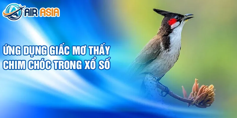 Nằm Mơ Thấy Chim Chóc: Bí Ẩn Điềm Báo Tốt Đẹp 4 Ứng dụng giấc mơ thấy chim chóc trong xổ số